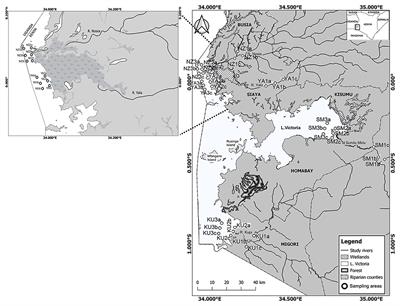 Citizen Science for Bio-indication: Development of a Community-Based Index of Ecosystem Integrity for Assessing the Status of Afrotropical Riverine Ecosystems